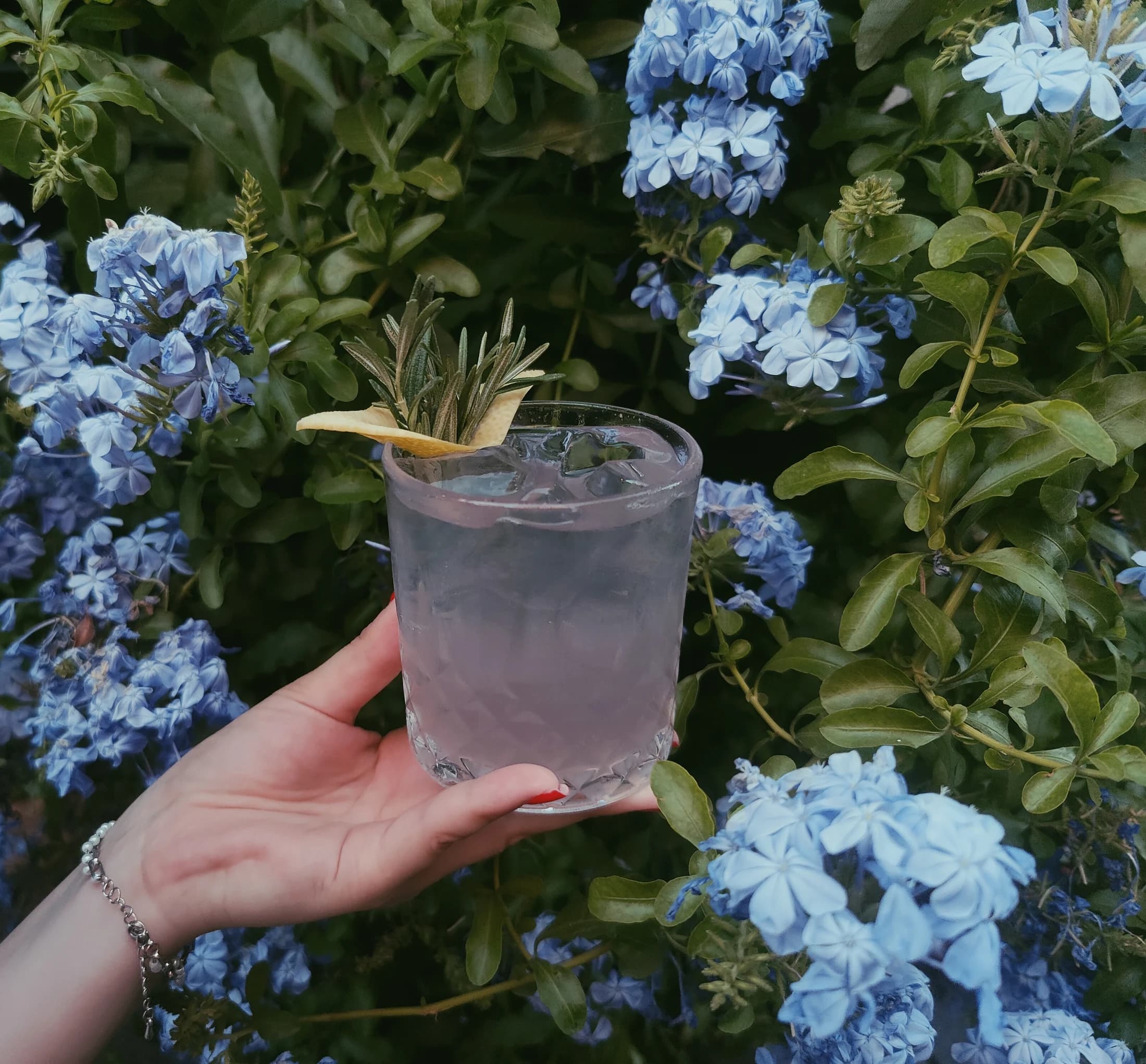 A lavender cocktail held up outdoors