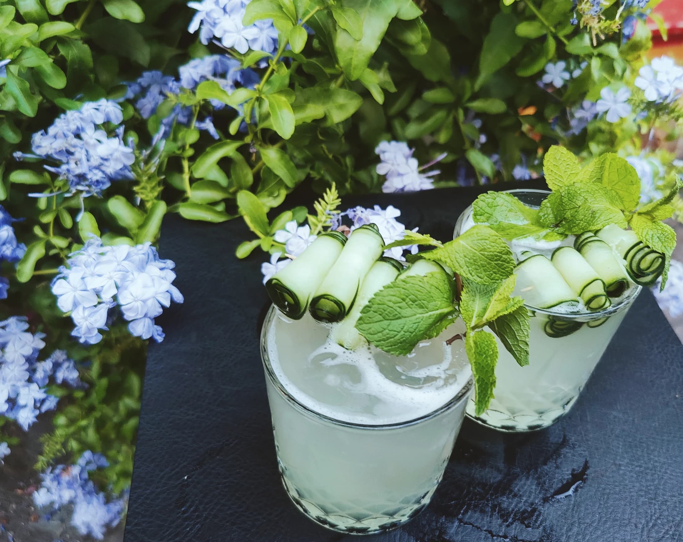 Two mint-garnished cocktails among hydrangeas